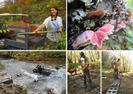 Cinder Block Stepping Stones and Carrots Image